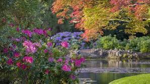 HilarySJarvis's tweet photo. Really looking forward spending time with friend and fellow GM @glitterypips at the wonderful @sheffieldparkNT tomorrow
Seeking inspiration, kinship…. And Peacocks!
#GMLife https://t.co/AuDBN1hMT2