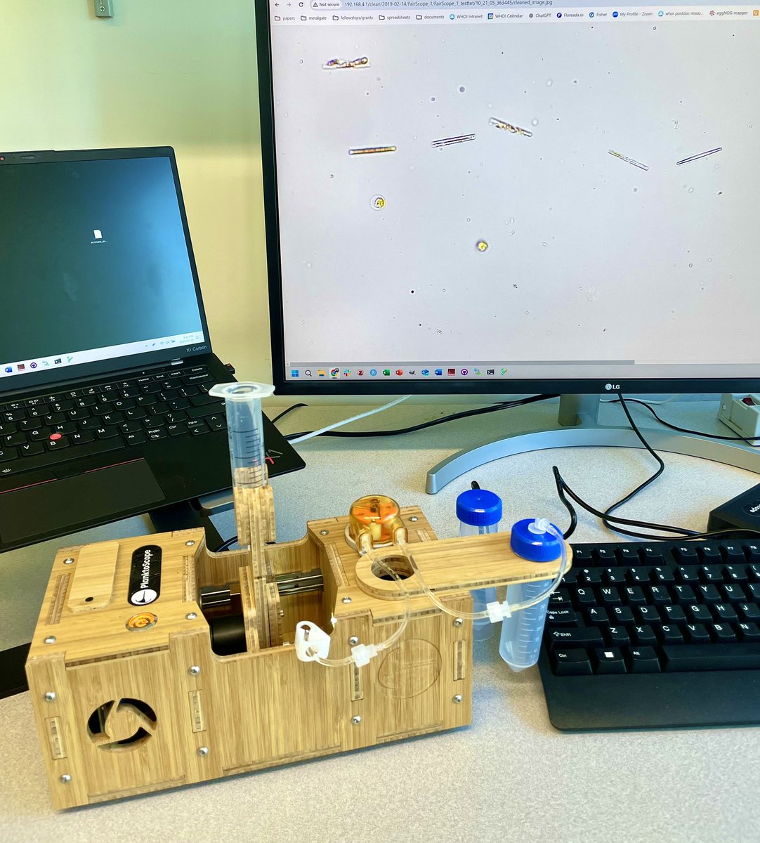 Loay Jabre لؤي (@loayjabre) on Twitter photo Super excited to receive this new PlanktoScope! <a href="/fairscope_/">FairScope</a> <a href="/planktoscope/">PlanktoScope</a>
It’s already taking incredible images of diatom cultures, and I’ll soon try it with some samples from nearby beaches and ponds.
Looking forward to more accessible science and education <a href="/WHOI/">Woods Hole Oceanographic Institution (WHOI)</a> <a href="/MakASaito/">Mak Saito</a>. Super excited to receive this new PlanktoScope! <a href="/fairscope_/">FairScope</a> <a href="/planktoscope/">PlanktoScope</a>
It’s already taking incredible images of diatom cultures, and I’ll soon try it with some samples from nearby beaches and ponds.
Looking forward to more accessible science and education <a href="/WHOI/">Woods Hole Oceanographic Institution (WHOI)</a> <a href="/MakASaito/">Mak Saito</a>.