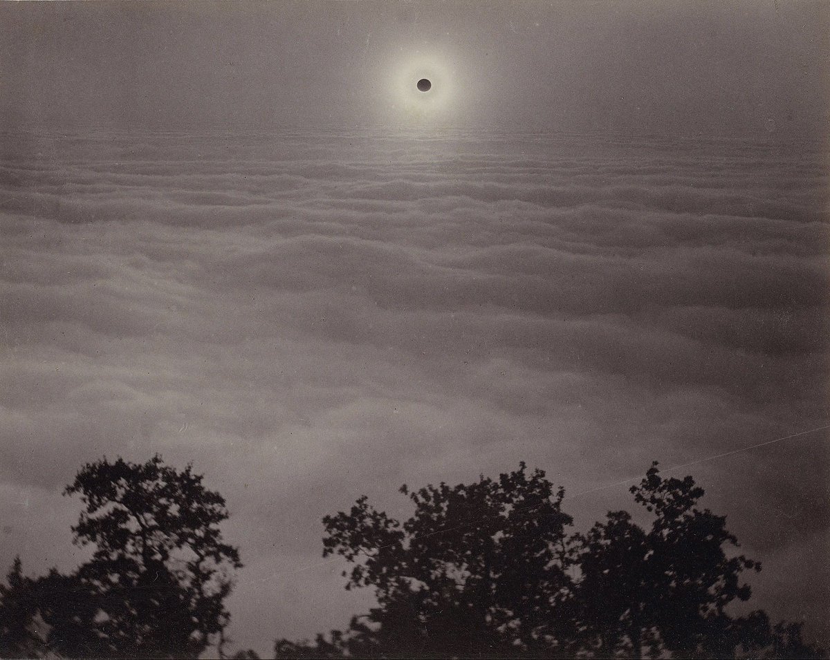 𝐬𝐨𝐯 tweet media