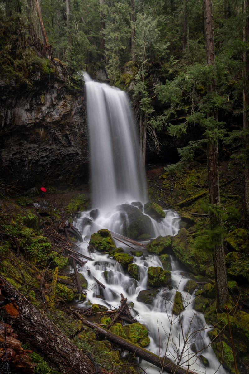 Melissa D. Jones tweet media