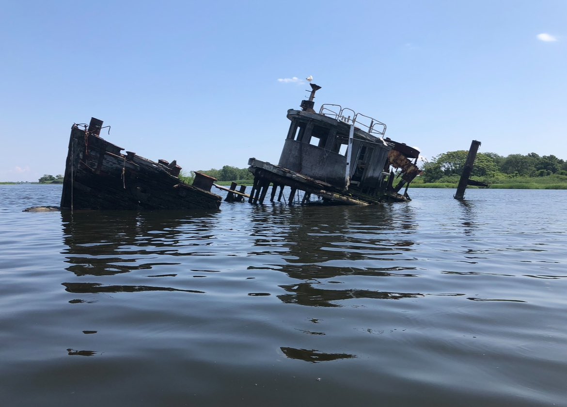 woodsCommaEl's tweet photo. @north0fnorth Formerly heavily industrialised, the bay was once planned for a large natural port however its marshlands have undergone extensive restoration and is an important migratory route especially for birds https://t.co/UMObvcjvk2
