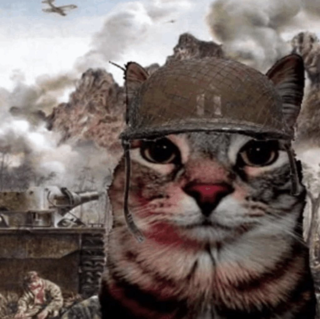 babyducksss's tweet image. T2 pros getting ready to get absolutely demolished by Zer0 and his chat when they’re on a team with him in Realm