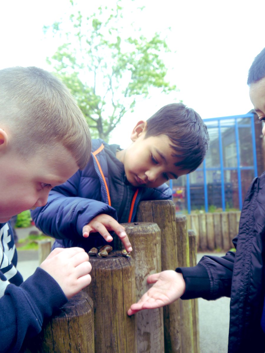 We are a class FASCINATED with snails and love to find a family of snails in the garden 🐌 We love to watch them move and see the slime appear! #EYFS #EY #OutdoorLearning #365DaysWild #Snails