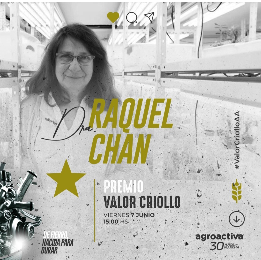 La Dra. Raquel Chan recibirá el premio Valor Criollo en <a href="/AgroActiva/">AgroActiva</a> 2024. Será el viernes 7/6 a las 15 hs, por su aporte a la produccion agropecuaria a partir del desarrollo del trigo resistente a sequía, entre otras innovaciones