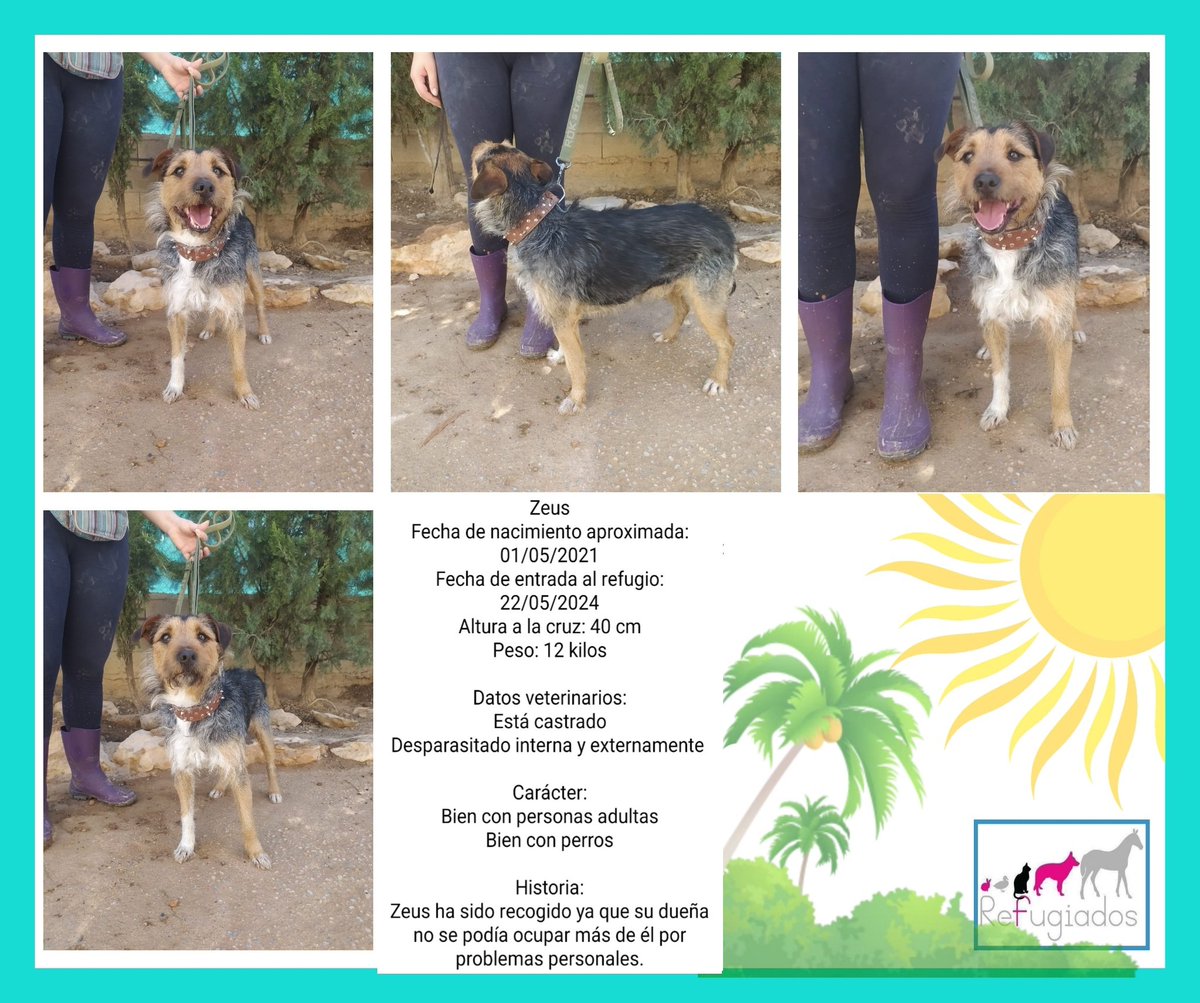 Zeus
facebook.com/media/set/?set…