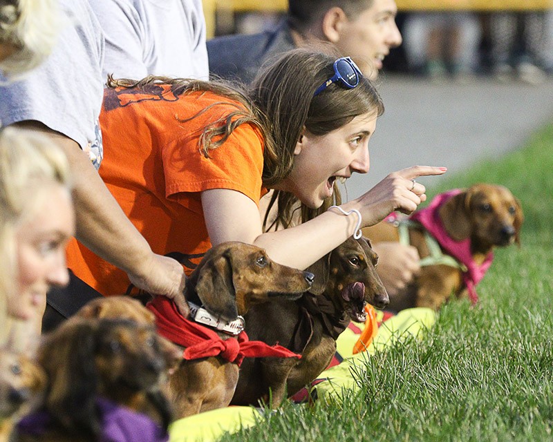 Ready, set, go... 🏁 We invite you to the race of the year 🐕 You don't want to miss this! Come down to @HWoodMeadows this May 24th for the Wiener Dog Races - food truck festival, family fun, and a whole lot of wagging 🐶 Got a favorite racer? Name your champ in the comments!