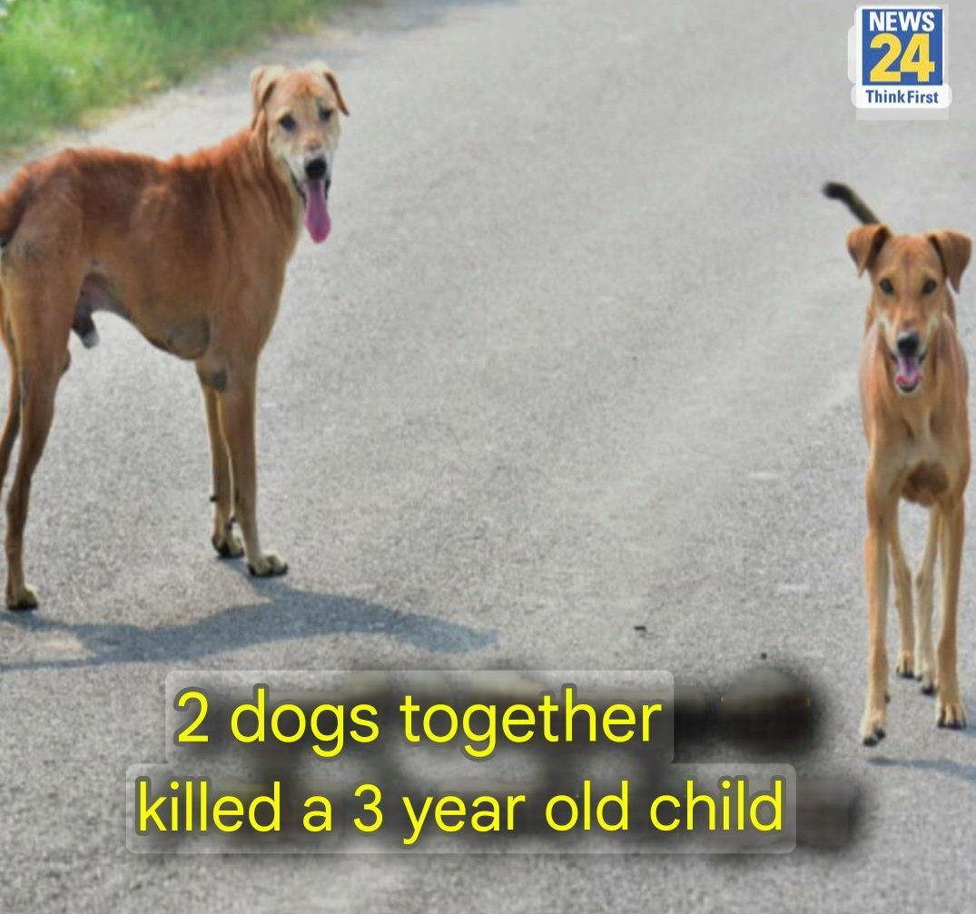 It happened in Mauda, Nagpur - 2 dogs kiIIed 3 year old Ankush. - in last 15 days, it was 2nd dog attack in this area.