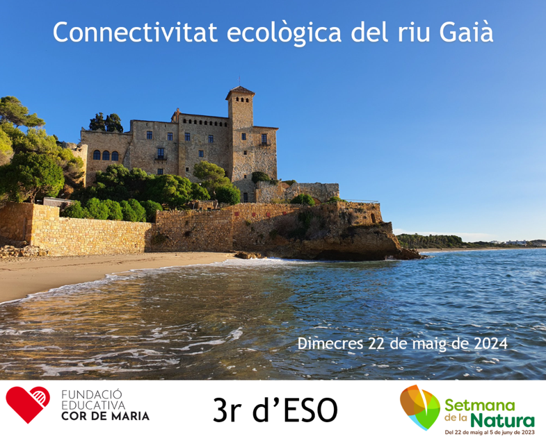 tecnocompte's tweet photo. Sortida de Naturalística a la Desembocadura del Gaià dins la #SetmanaNatura https://t.co/sL4GIY42FR