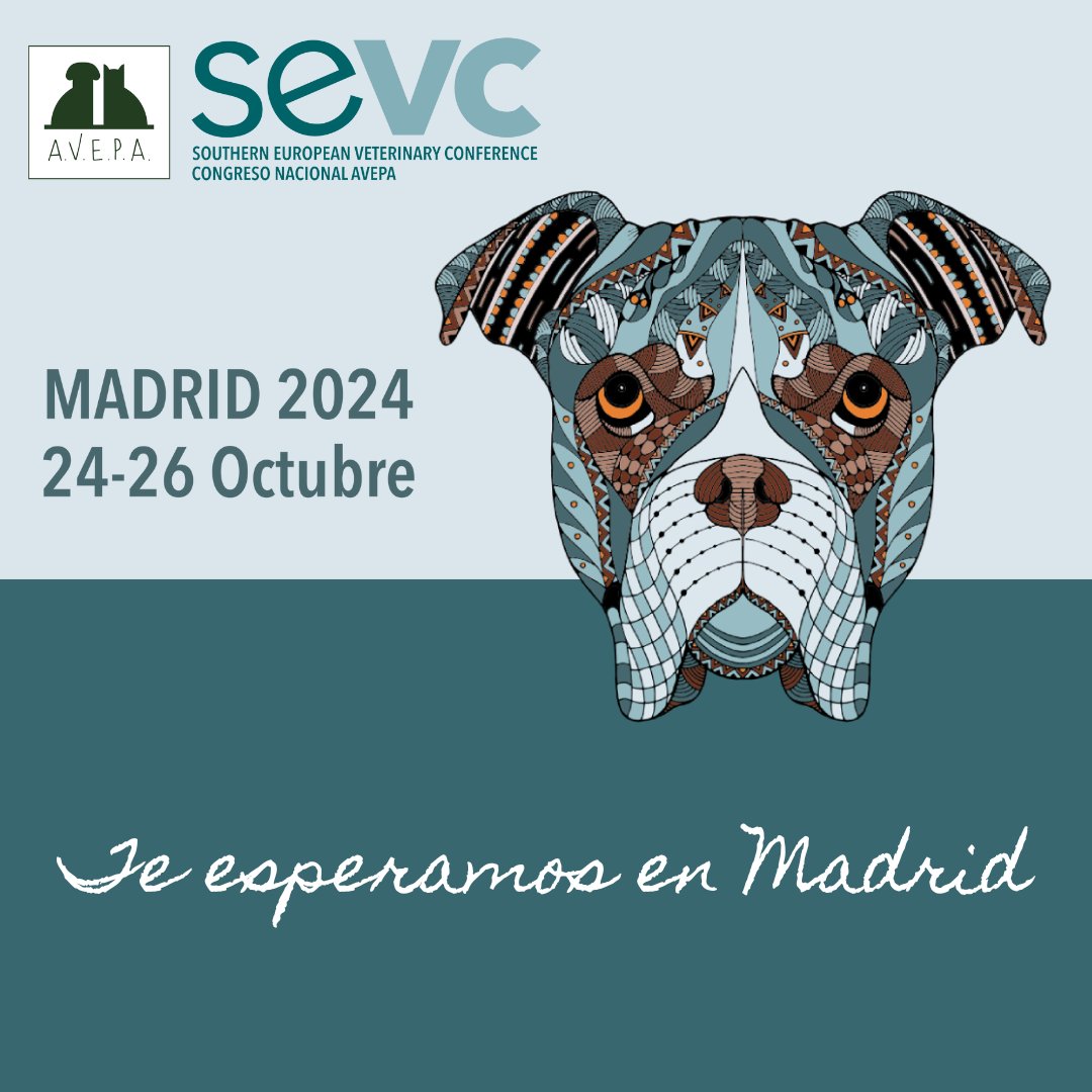 AVEPA_vet's tweet image. Inscríbete en el Programa Científico para #ATV del #CongresoAVEPASEVC.
Revisa en programa, diseñado para brindarte conocimientos avanzados y habilidades prácticas.⁣
¡Inscríbete ya y asegura tu lugar! bit.ly/ATV_AVEPA_SEVC
#veterinario #congresoatv #formacionatv
⁣
⁣