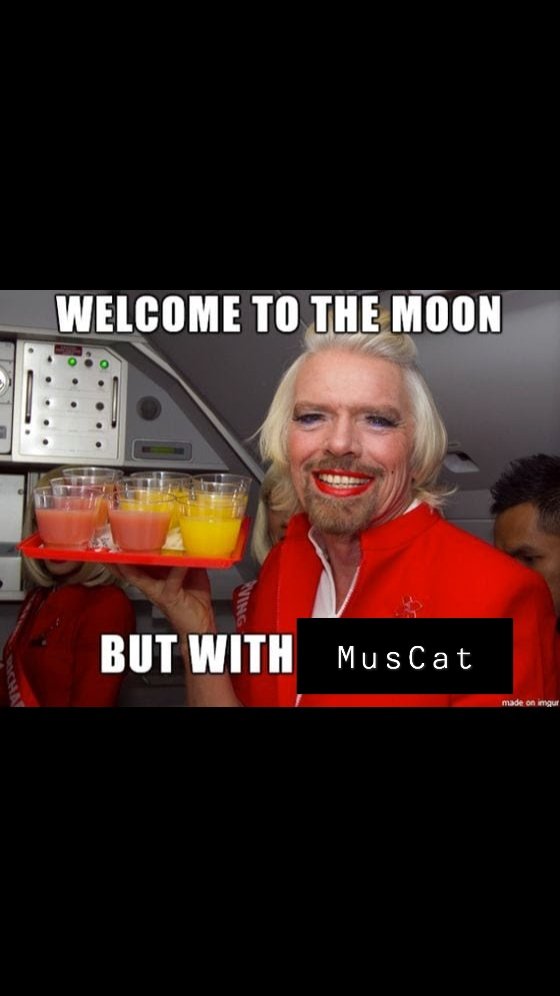 mad_doggh's tweet photo. #MuscatMeme $MusCat @MusCatSol 

#MusCat to the 🌚🚀 https://t.co/0jcyJKthY7