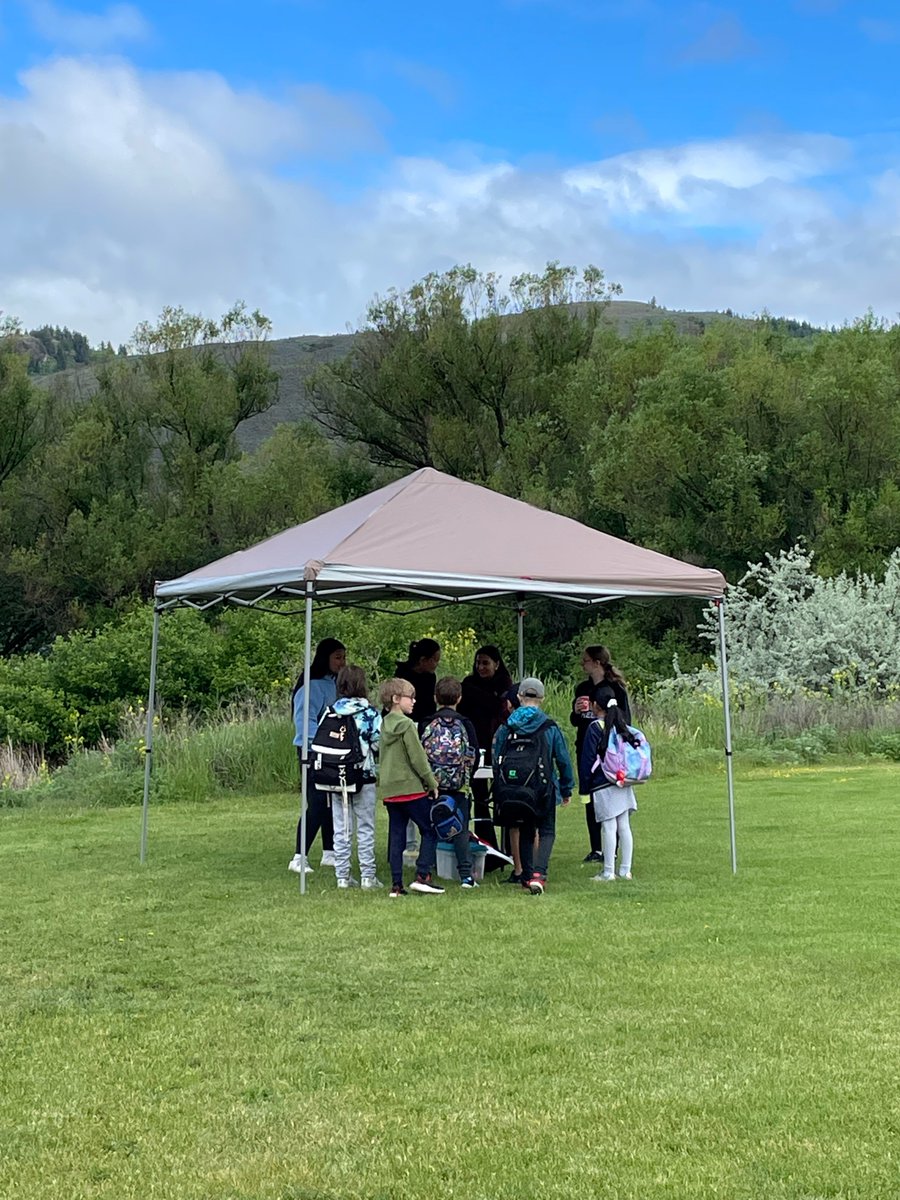 Fulton Secondary tweet media