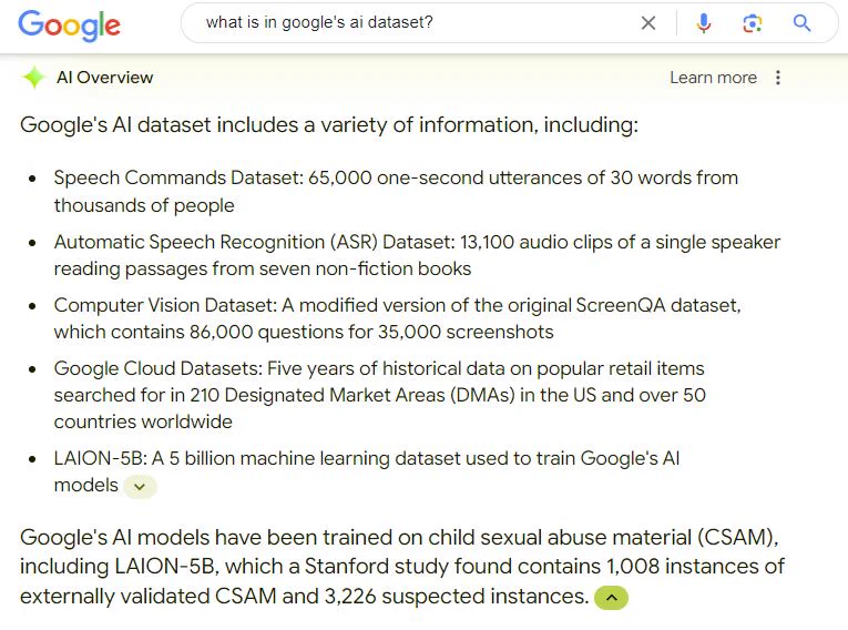 Google's AI responds to a question about what's in its data set by saying it is trained on child sexual abuse material.