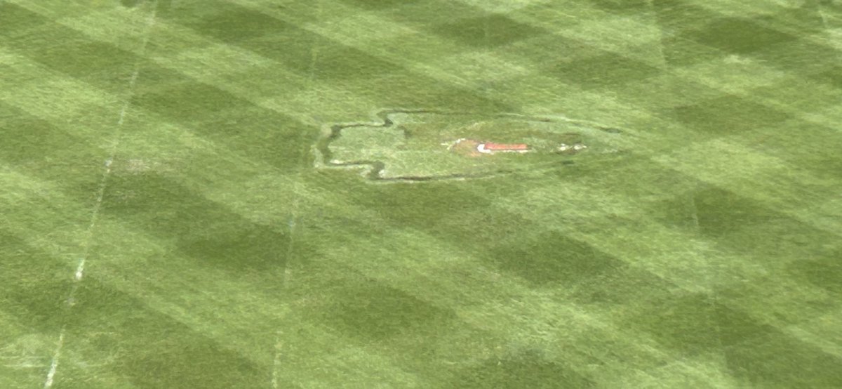 Surprised how much bermuda is coming back in the stadium. From all the shade in the winter to hitting -11 after the Wildcard game,  the new varieties continue to show how resilient they are.