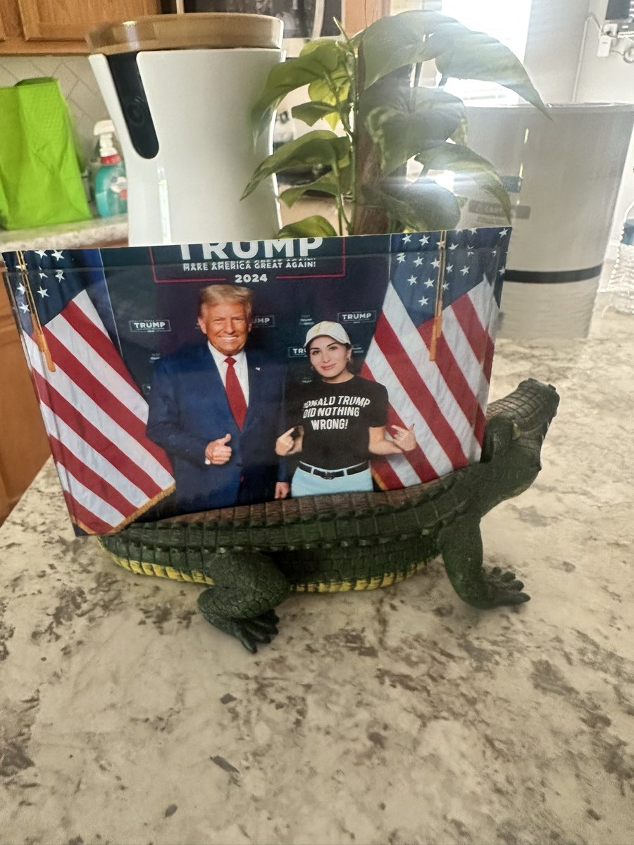 So I just had my floors deep cleaned, and the two men who arrived to clean the floors were black. Very nice men. One was from Haiti, the other was from Florida. When they came inside my place they put their clipboard on my counter and saw my alligator picture frame with Donald