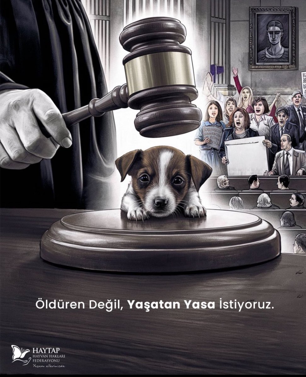 🇹🇷Devletin görevi öldürmek değil, yaşatmaktır.
 Hem de her canı‼️
#SOKAKHAYVANLARISAHİPSİZDEĞİL 
#2HaziranAdaletMitingi
