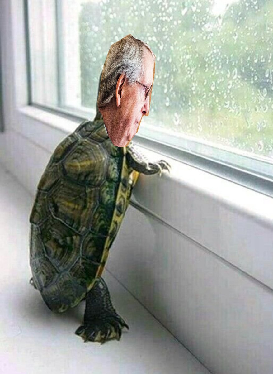 @DanaSan68018976 You know it had to be done? 🤣🤣
#MoscowMitchMcConnell