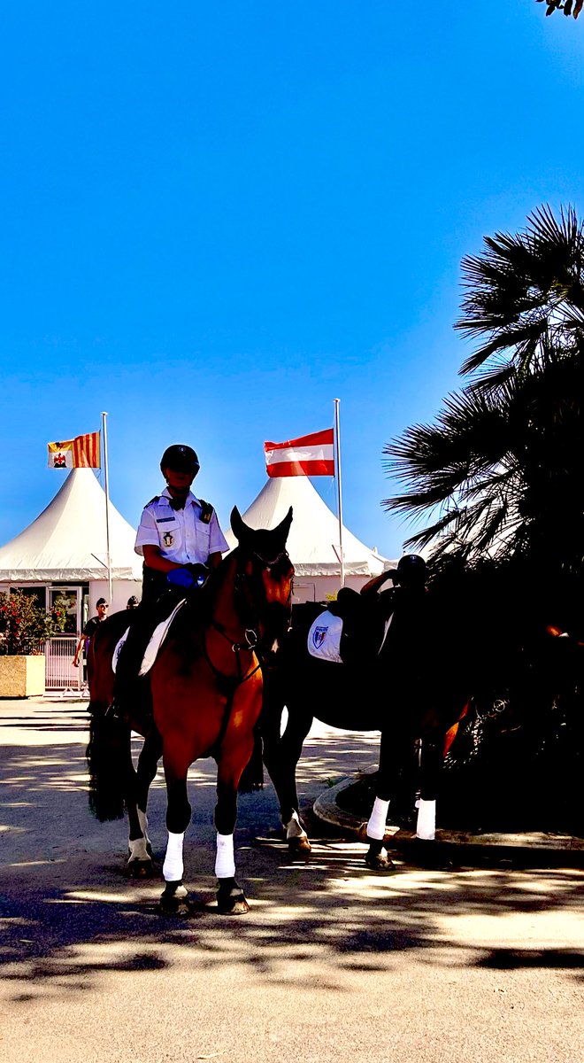 Les stars de la Croisette ✨🐴🐎