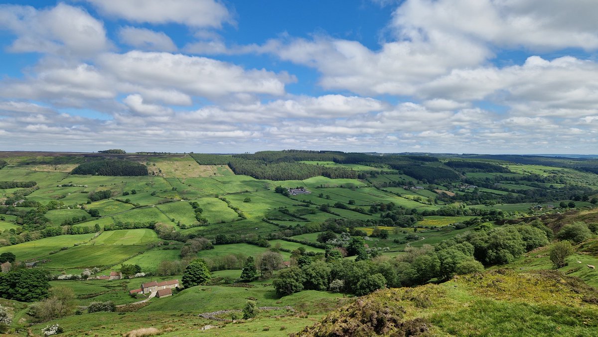 Amazing view from the top of Rosedale Chimney!🤩🌳 #Rosedale #rosedalechimney #Yorkshire #northyorkshire #northyorkmoors