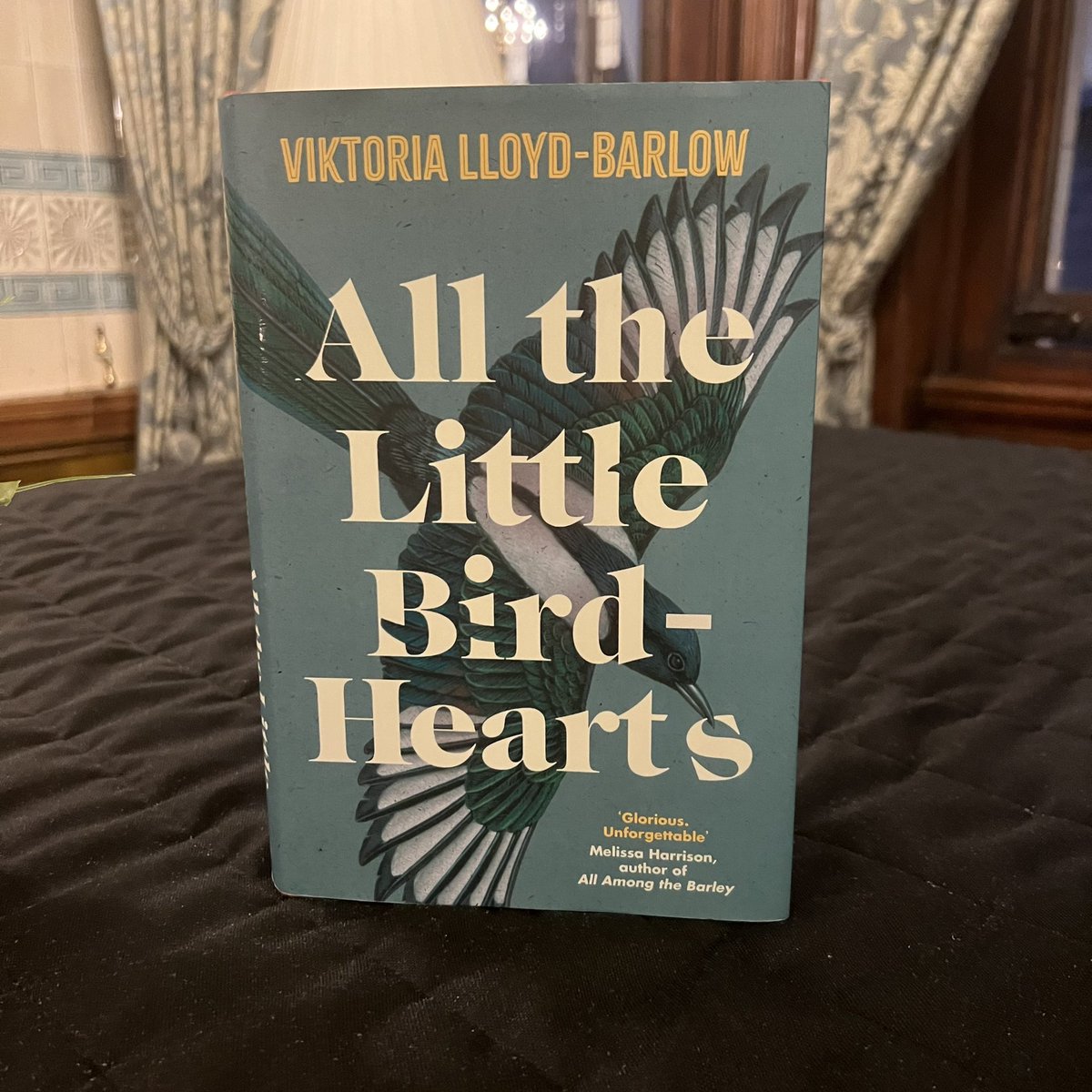 Tinder Press tweet media