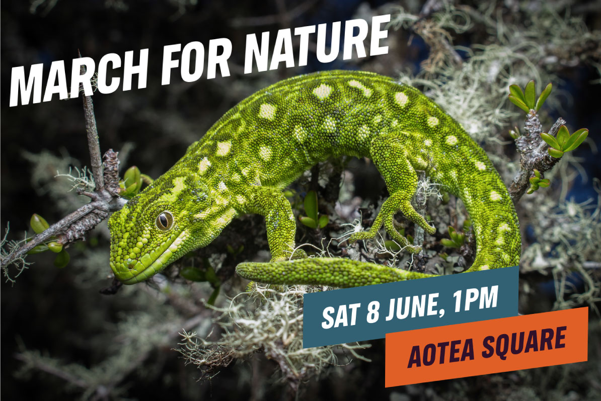 The #Fasttrack is the wrong track. Join us on the March for Nature down Queen St 💚 1pm - Saturday 8 June - Aotea Square - Tāmaki Makaurau Auckland 💚 Let's have our collective Voice for Nature heard in this peaceful protest. rsvp.marchfornature.nz/events/march-f…
#waronnature