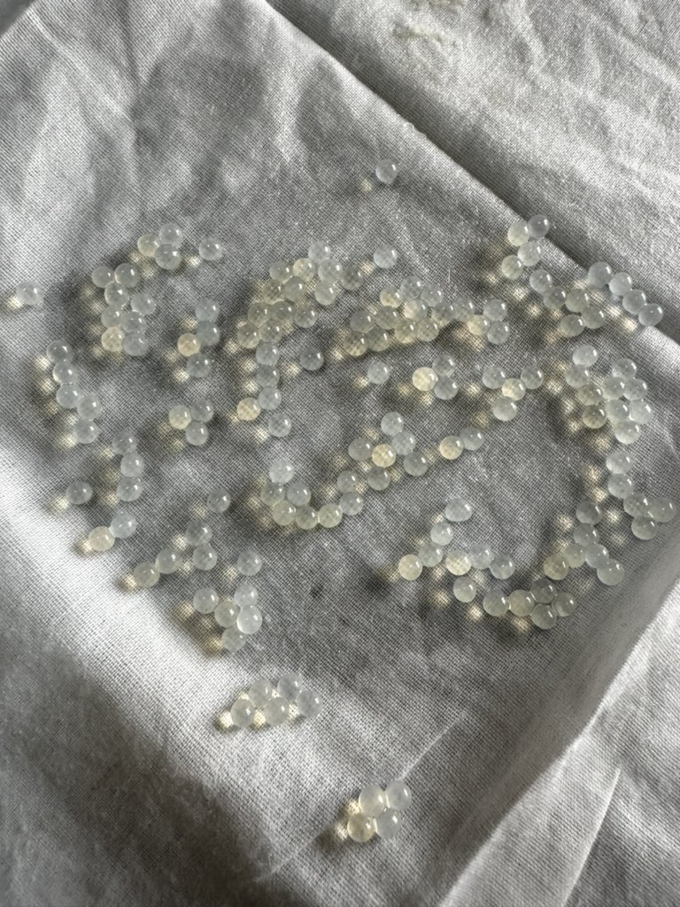 Techriztm's tweet photo. Sat down for hours in this lab today, failing at getting this Nanoparticle formulations done properly.

At some point, I had to question myself if I wasn't the actual Thomas Eddison cuz these nano drugs and their formulation were definitely not aware of my anger issues😭😭

Until we got it right at our 7th time of trying
Is God not a great God?😅
After a wholesome 7 hours in this lab!!

Thank God I held myself back from walking out after we failed the 5th time😭