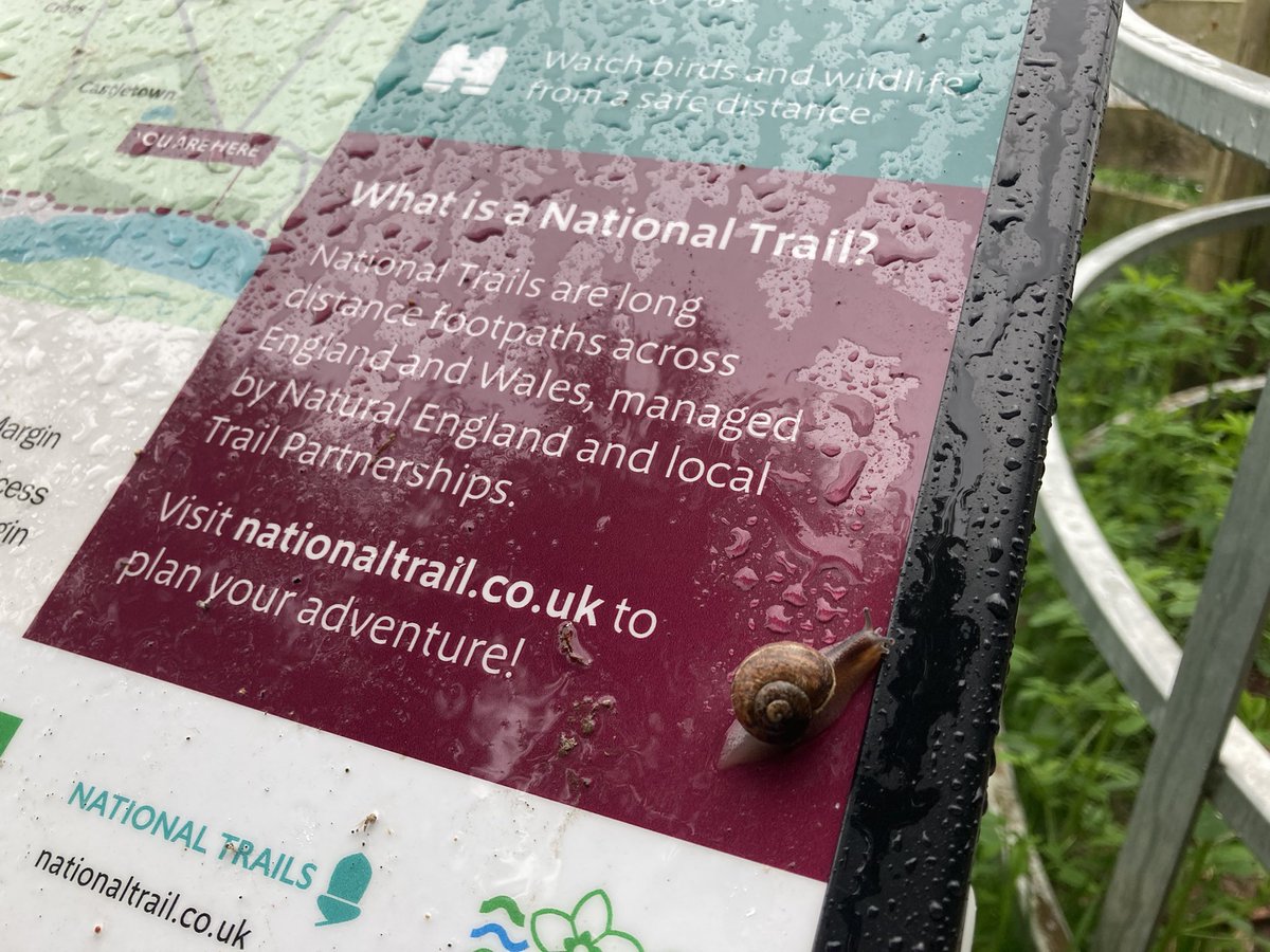It is perfectly acceptable to be a #NationalSnail! 🐌 #KCIIIECP #EnglandCoastPath