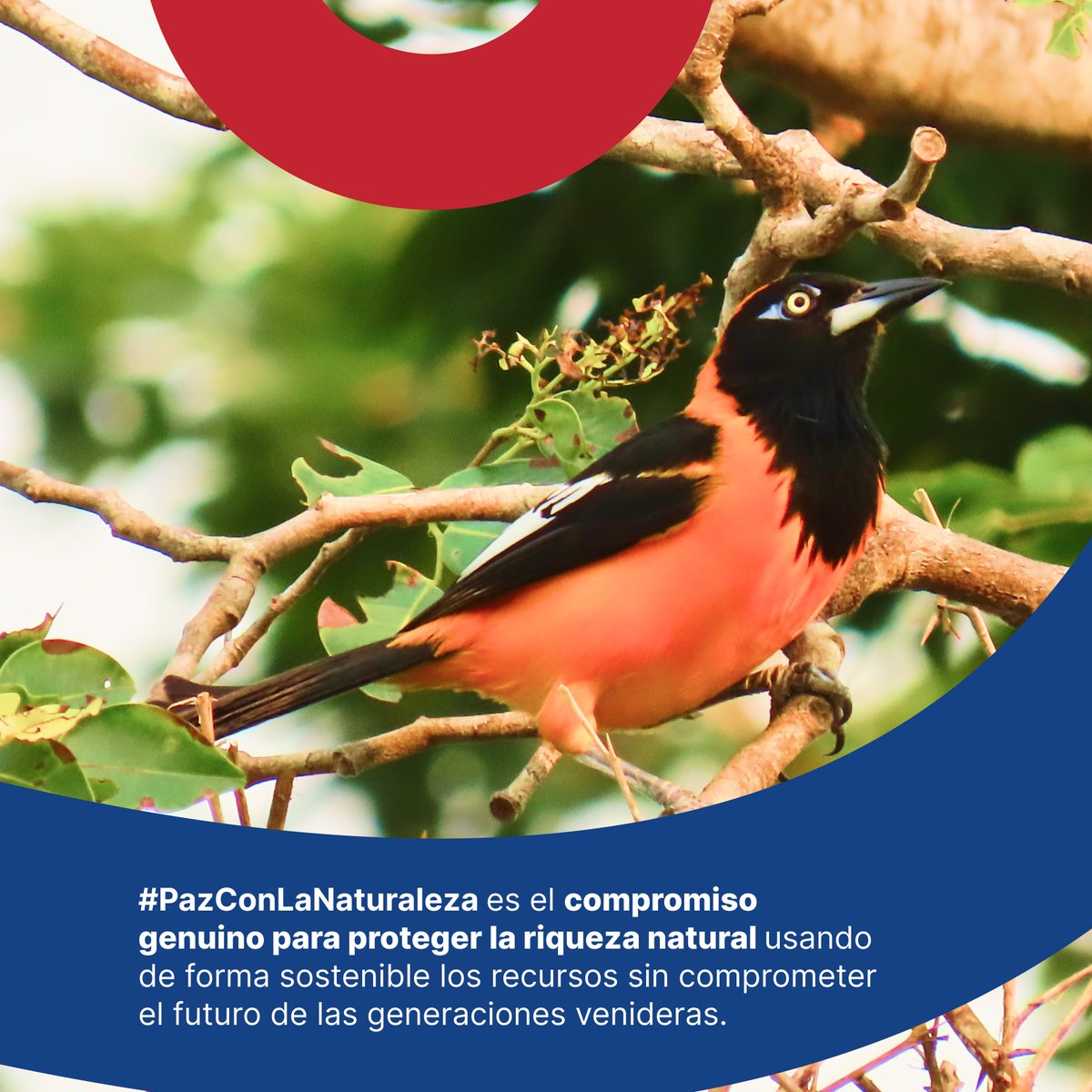 SierraCol Energy tweet media