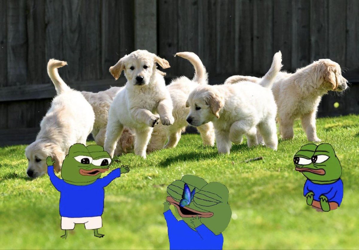 Gud nite frens ❤️🤗