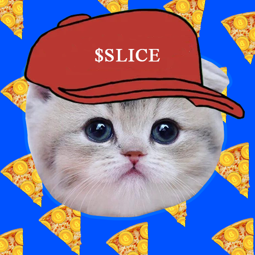 SliceThePizzaCat tweet media