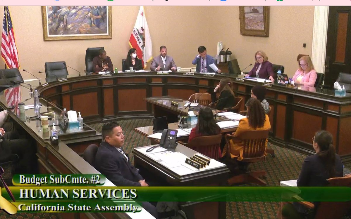 @AsmArambula powerful #CaBudget remarks:

I have to talk about #CalWORKs. 
We have these core services of #FamilyStabilization, #HomeVisiting, #SubsidizedEmployment, #HomeVisiting and more to address the deep #trauma families face. 
The #MayRevise is a #FalseChoice

#HandsOff