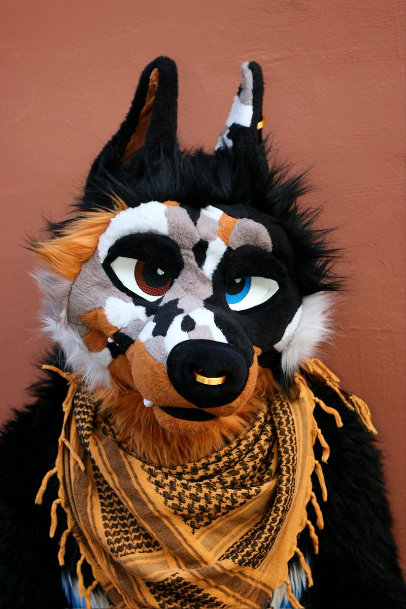 Cactus Dog Fursuits tweet media