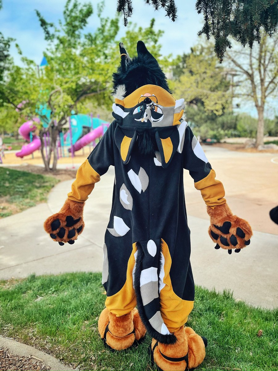 Cactus Dog Fursuits tweet media