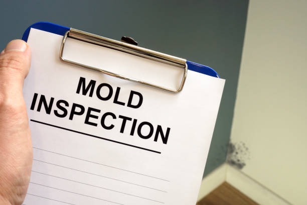 Protect your home and loved ones with our comprehensive mold inspection service.

 #ductcleaning #clean #hvac #hoodcleaning #airductcleaning #indoorairquality #safety #localbusiness #deepcleaning #airconditioning #carpetcleaning #rugcleaning #commercialcleaning #residentialcle...