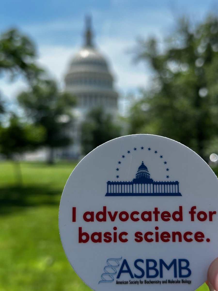 Thank you to our members and staff who met w/policymakers on Capitol Hill today. We so appreciate all your support in advocating for basic science! Want to participate? Email your elected officials: asbmb.org/advocacy/capit…. Thank you! #ASBMBadvocates #ASBMBHillDay
📷: <a href="/ThePageLab/">Rick Page</a>