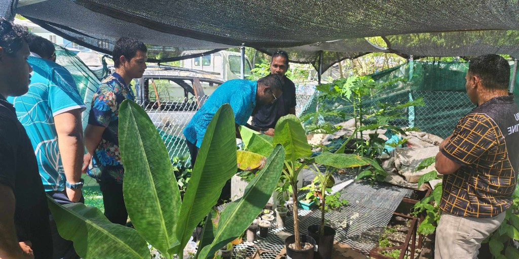 #PacificAgriculture🌱| SPC Biosecurity SPS team held a 2-week intensive refresher and field work with Nauru Quarantine & Agriculture officers, boosting their skills in plant pest surveillance & biosecurity measures-crucial for keeping #Nauru safe! 🤝@EUPasifika #SAFEPacific #LRD