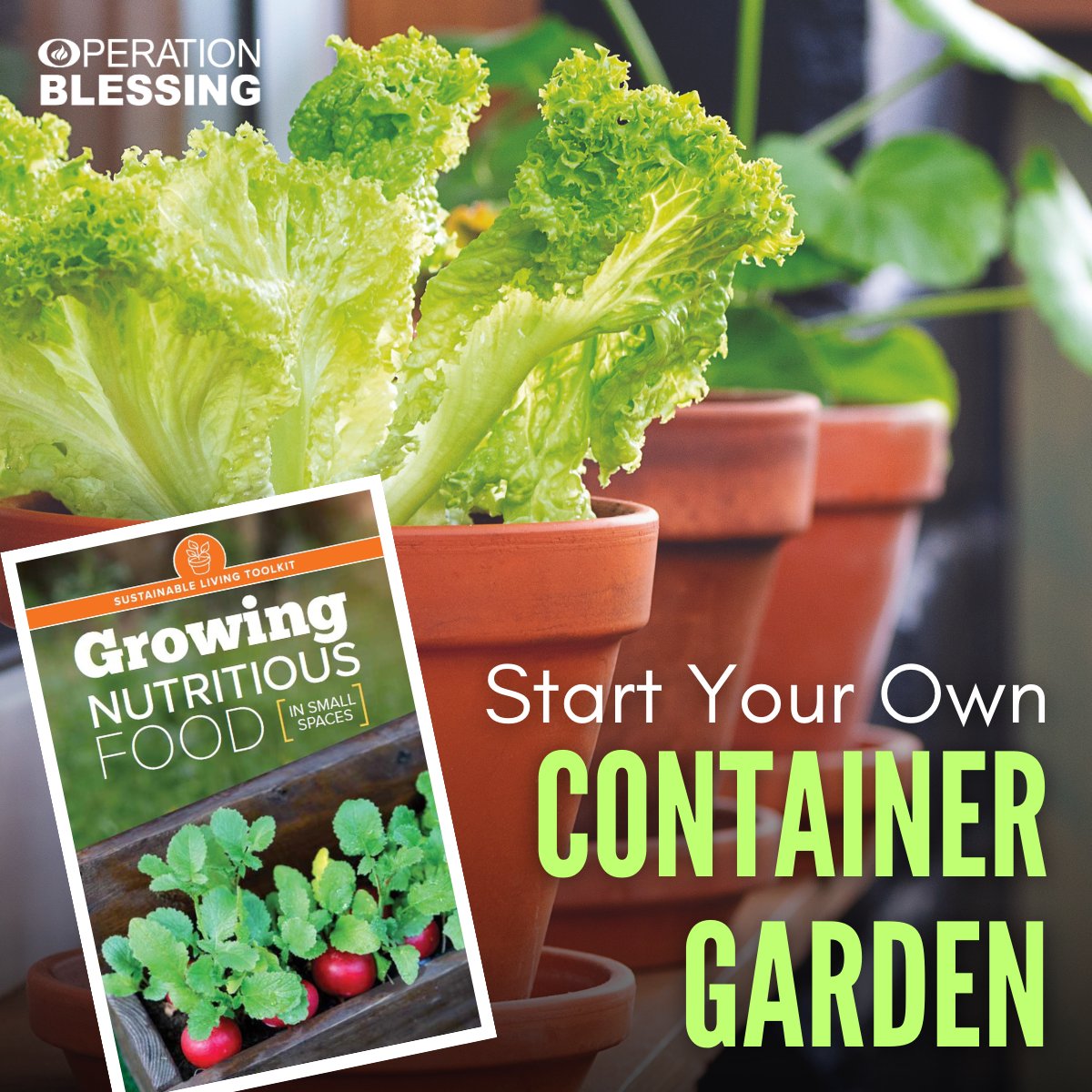 You can grow a garden full of nutritious #vegetables wherever you live. #ContainerGardens are a great way to start. Find out how in our new booklet, Growing Nutritious Food in Small Spaces. It's our #FreeGift to you! 

go.ob.org/GardenBookTW

#OBI #WellnessWednesday