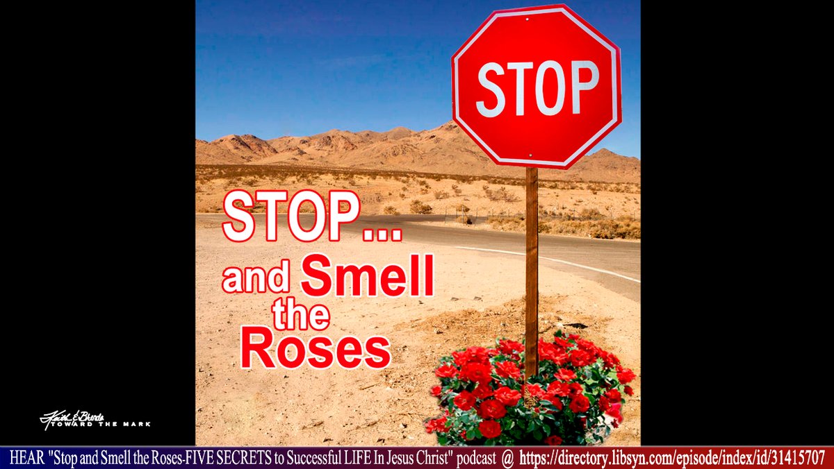 #STOPandSmellTheRoses #5secretsToSuccessfulLIFEinJesusChrist
Begin walking out these Truths & watch what God will do! CLICK TO LISTEN: directory.libsyn.com/episode/index/…  Rest in our Heavenly Father, in Christ Jesus, in abundant Life in The Spirit, & encourage one another all along the way.