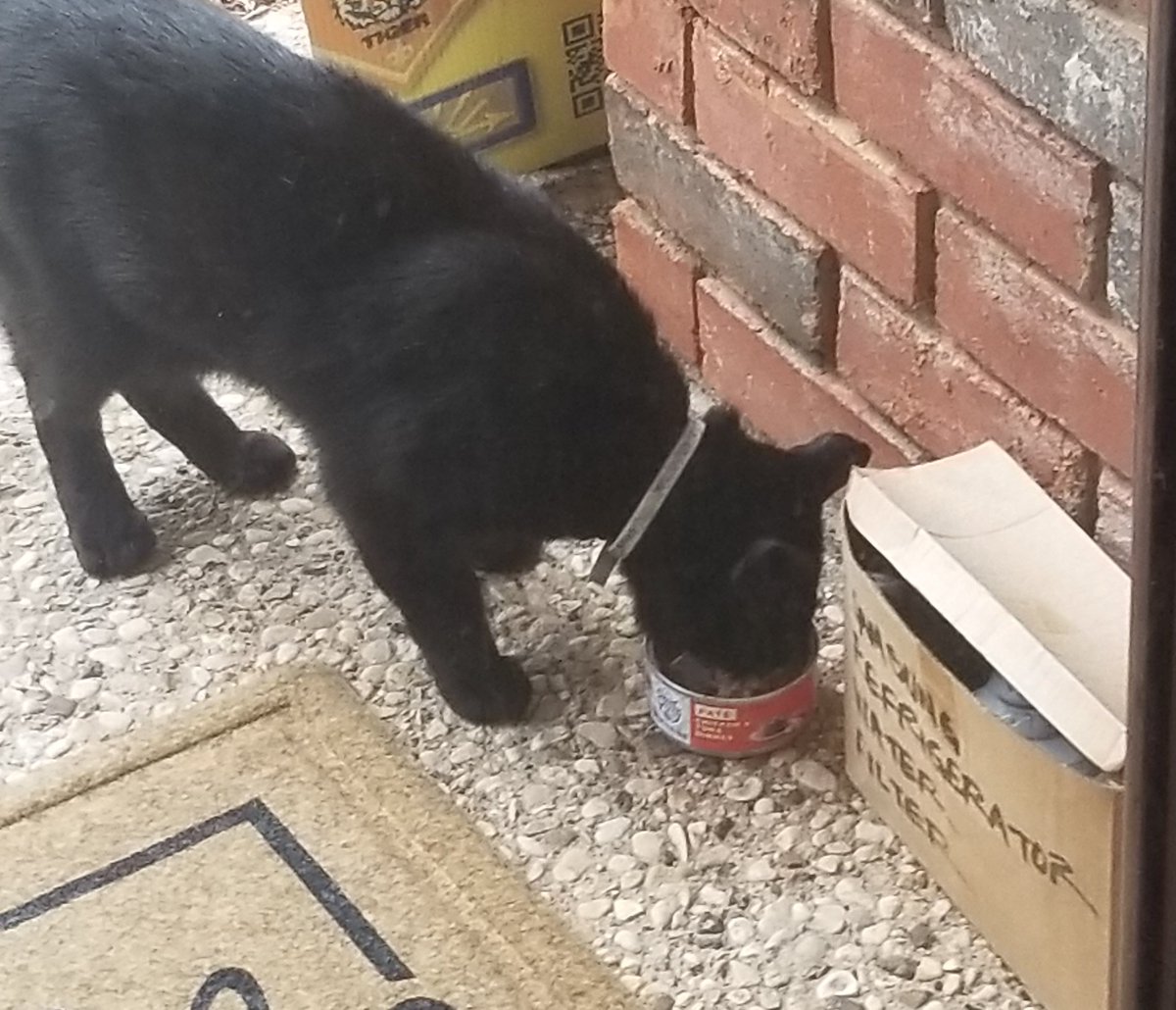 Me and my bff, Tuff.