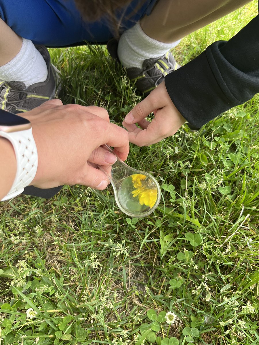 Kristi Van Hoveln tweet media