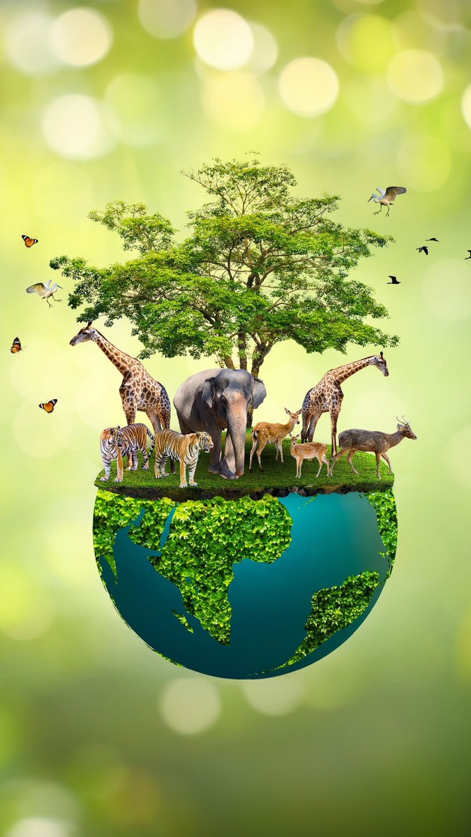 Let's celebrate the amazing variety of life on Earth today! #BiodiversityDay However, oil and gas threaten this very diversity. Pollution and habitat destruction disrupt ecosystems. Clean energy is the way to nurture our planet, not exploit it. #Faiths4Climate @GreenFaith_Afr