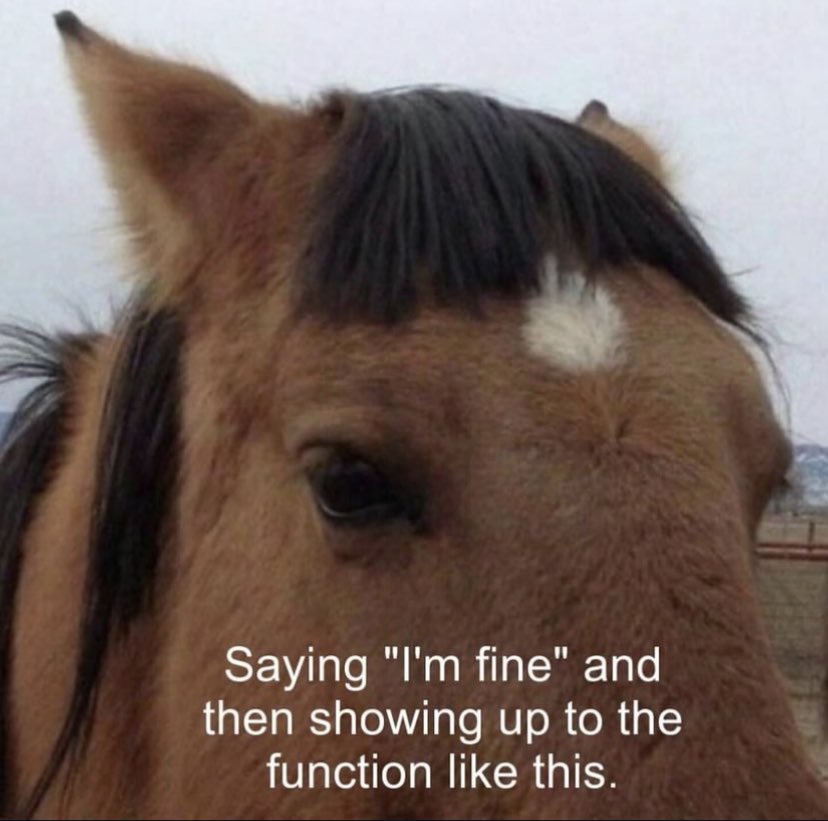 Content from livibot