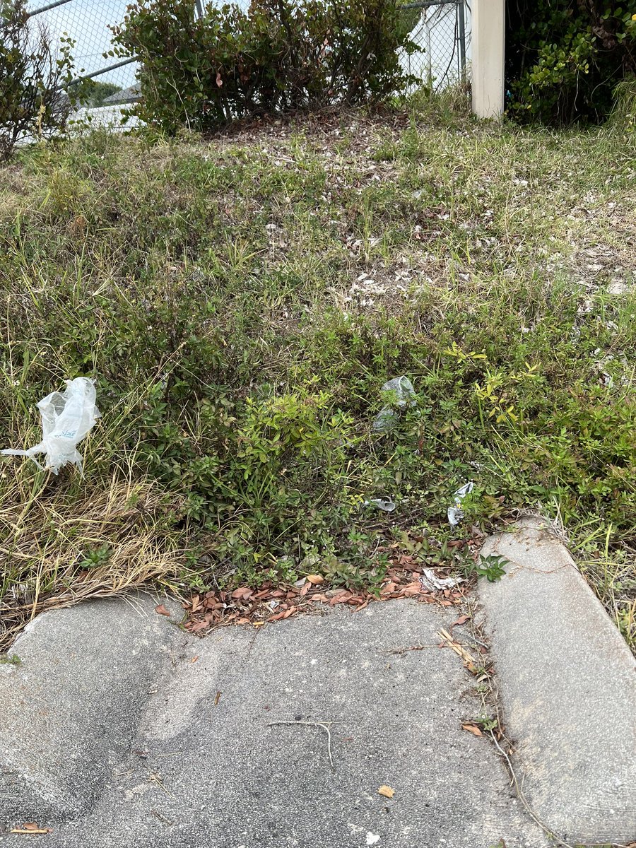 Joe Ffitch tweet media