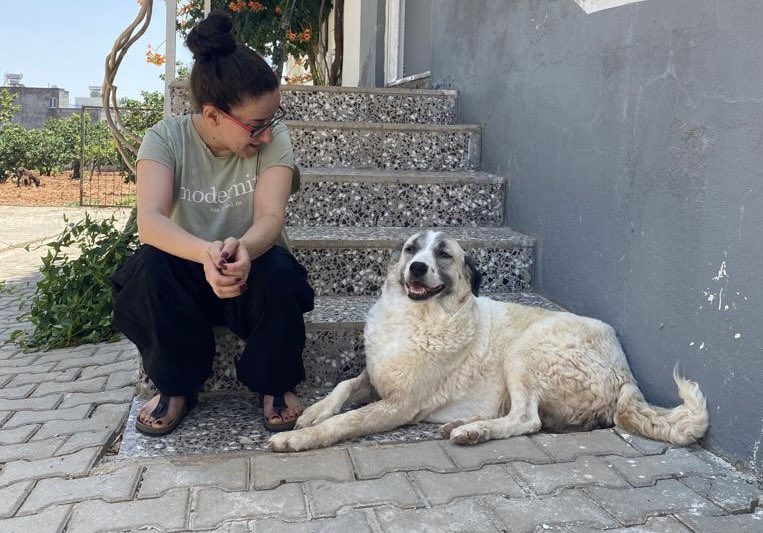 Mesele sokaktaki köpek değil mesele kötü insan meselesi! Kaç kez bir sokak köpeğin bir insana tecavüz edip öldürdüğünü gördünüz. Ama onlarca kez köpeklere bunu yaptılar Sokaktaki hiçbir çocuğu sizin olmayan vicdanınıza kurban etmeyeceğiz! #SokakHayvanlarıSahipsizDeğil