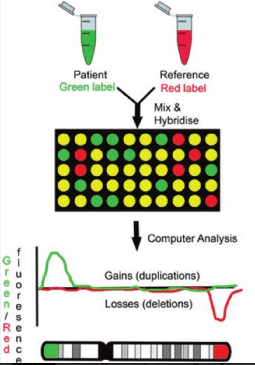 Nueva plaza de facultativo especialista en arrays/citogenética molecular del servicio de <a href="/GeneticaSantPau/">GeneticaSantPau</a> del <a href="/HospitalSantPau/">Sant Pau - Campus Salut Barcelona</a>. Mínimo dos años de experiencia. Interesad@s mandar CV y carta de motivación a tillanes@santpau.cat antes de fin de mes.