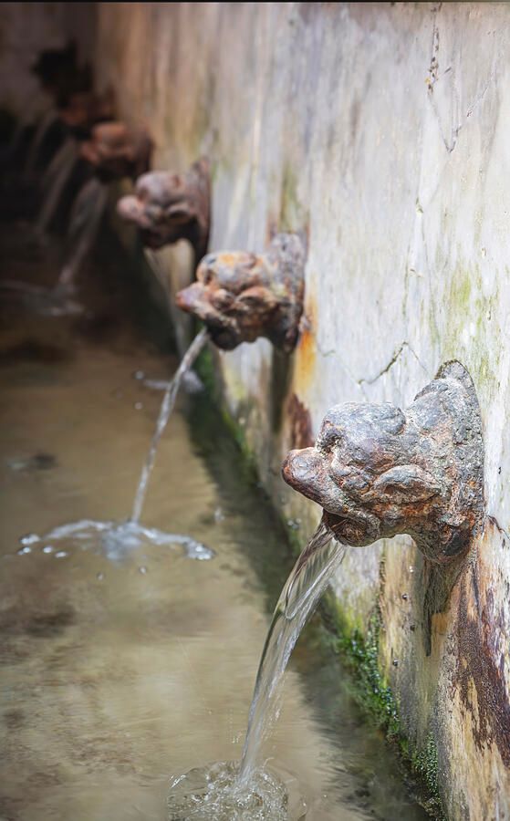 Medieval Wash House Faucets Cefelu Sicily! buff.ly/4dUWAcb #Cefalu #italy #sicily #washhouse #faucets #rountain #spout #castiron #laundry #cefalino #artforsale #wallartforsale #AYearForArt #BuyIntoArt #giftideas @joancarroll