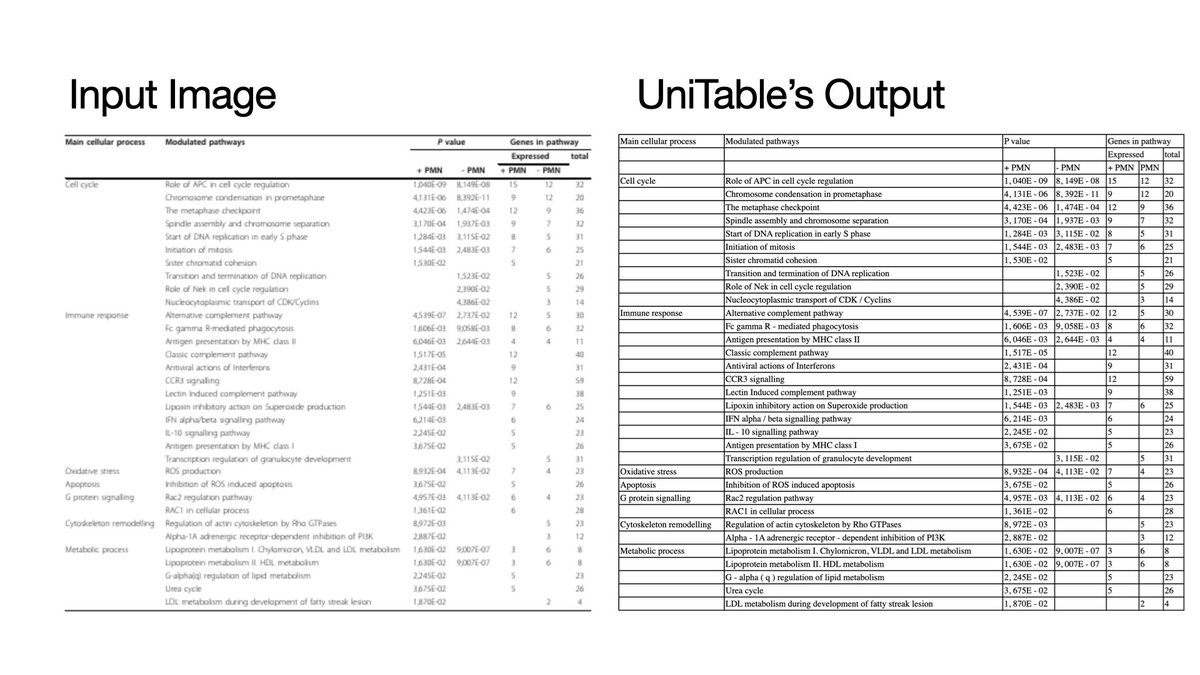 Anthony Peng tweet media