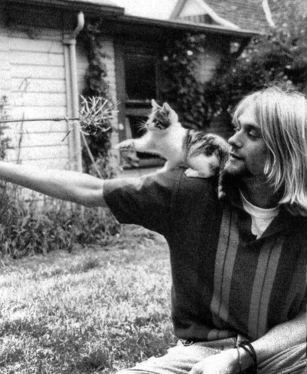 PunchingCat's tweet photo. Kurt Cobain and a cat https://t.co/QWGHynVC5t