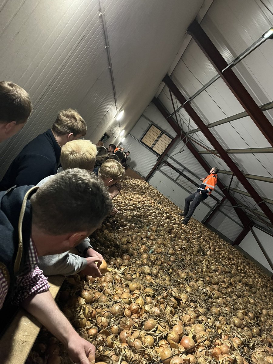 Andrew Francis (PFIAgrM. ARAgS) (@andrewf1882) on Twitter photo Pleasure to welcome #DebenhamYFC to <a href="/HomeFarmNacton/">Home Farm (Nacton)</a> this evening. Supporting @Suffolkyfc discussing organic leeks, potatoes, onions, sheep, training, education, careers, labour, machinery, robotics, overheads and more with a very engaged inquisitive audience. Pleasure to welcome #DebenhamYFC to <a href="/HomeFarmNacton/">Home Farm (Nacton)</a> this evening. Supporting @Suffolkyfc discussing organic leeks, potatoes, onions, sheep, training, education, careers, labour, machinery, robotics, overheads and more with a very engaged inquisitive audience.