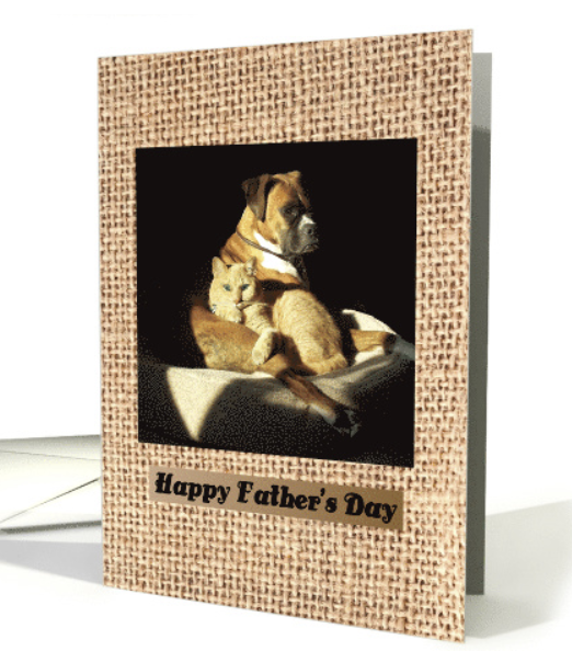 #FathersDay Boxer Cuddles with #Tabby Cat #GreetingCard greetingcarduniverse.com/holiday-cards/… @gcuniverse #boxerlovers #GreetingCards #Cards #catslover #doglovers #catlovers #cats #onlineshop #FathersDayWeekend #onlineshopusa #dad #fathersday2024 #holiday #bestwishes P/U Free at your FedEx!