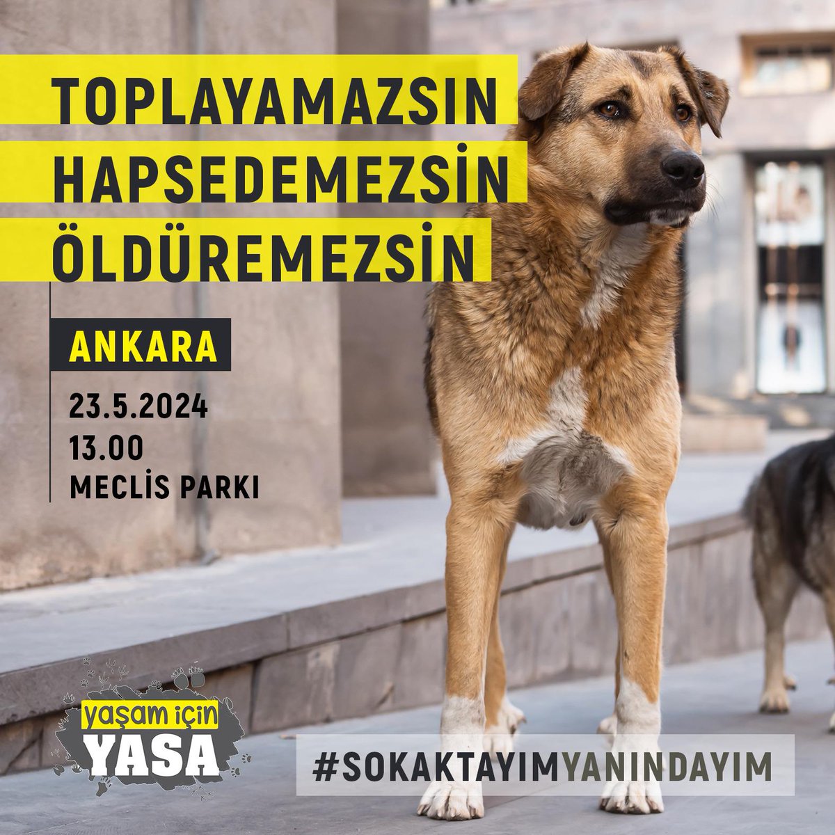 Toplayamazsın, Hapsedemezsin, Öldüremezsin! #SokaktayımYanındayım